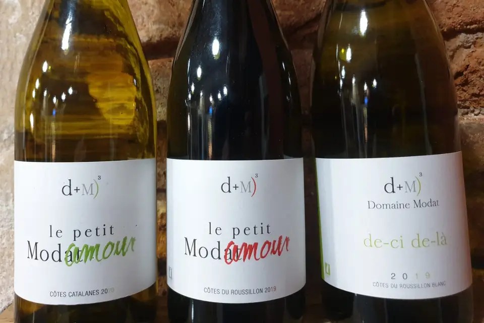 La Cave des Sens — photo 4