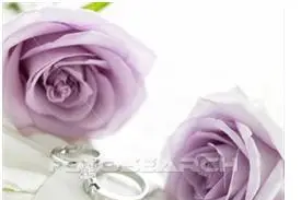 MB Fleurs — photo 2