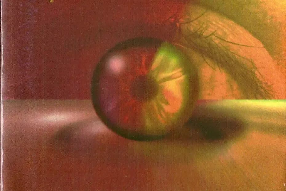 Stephane Quillien — photo 7