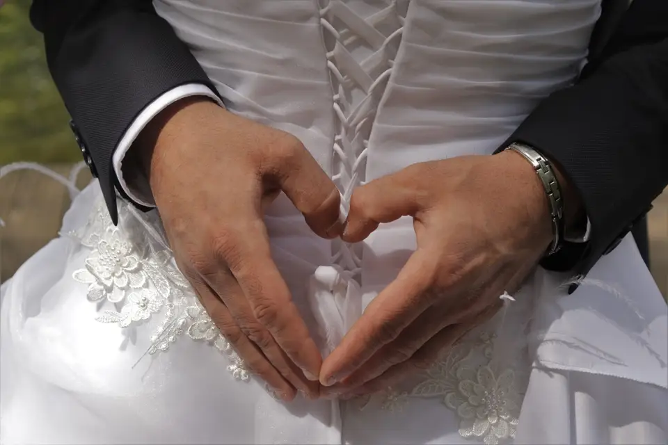 Alpha Photo — photo 7