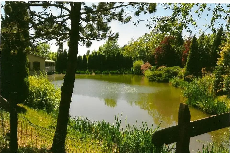 Le Flamant Rose — photo 3