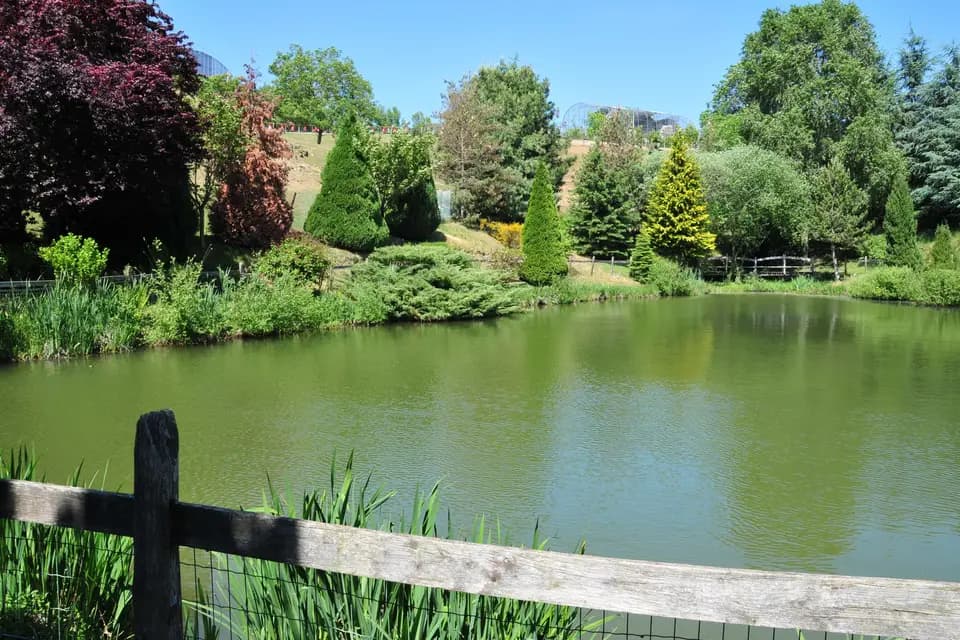 Le Flamant Rose — photo 2