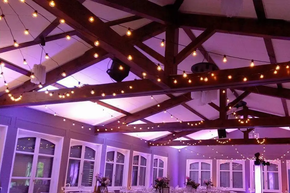 Le Flamant Rose — photo 6