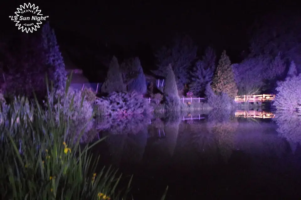 Le Flamant Rose — photo 5