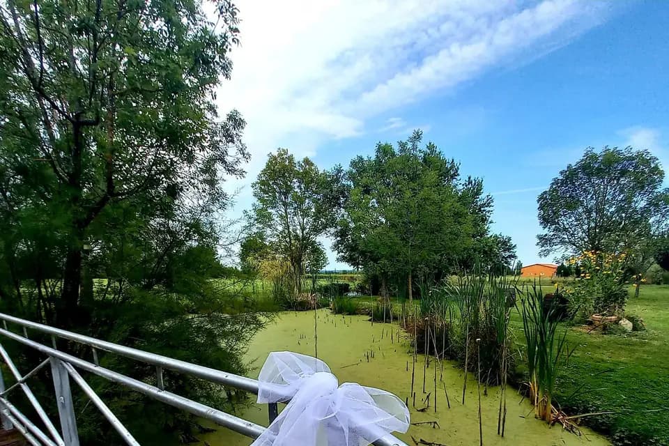 Domaine de Saint Julien — photo 6