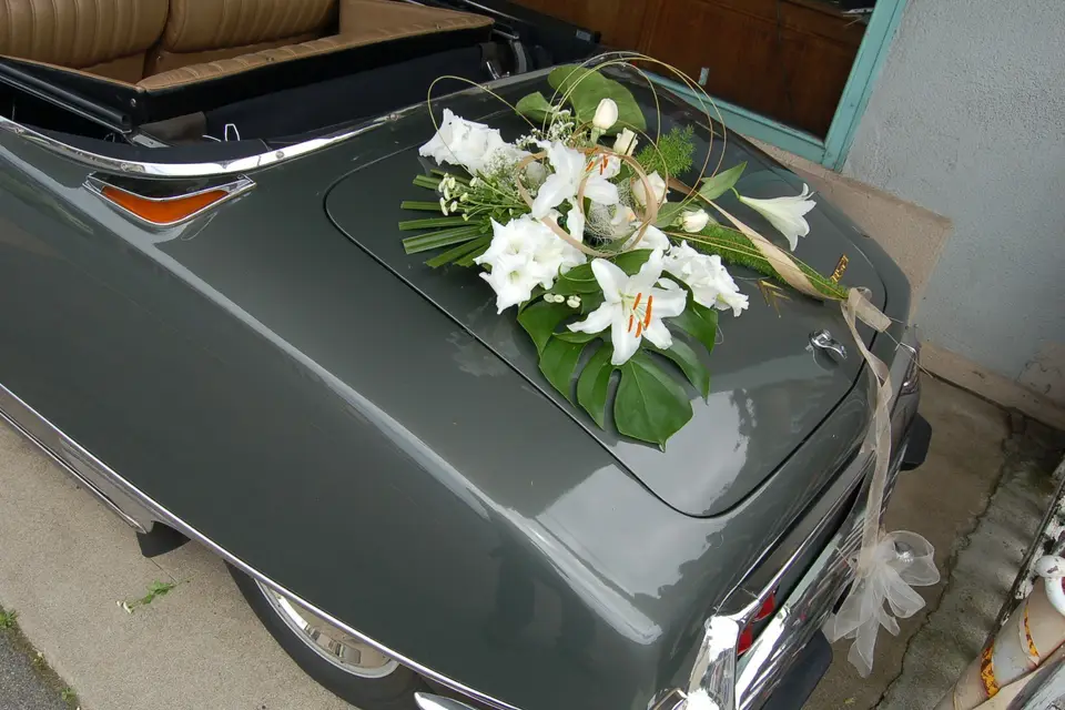 Églantine de Saint Jean — photo 1