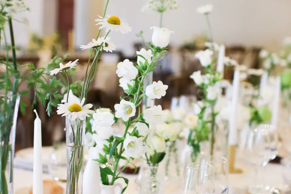 Nora Event — photo 8