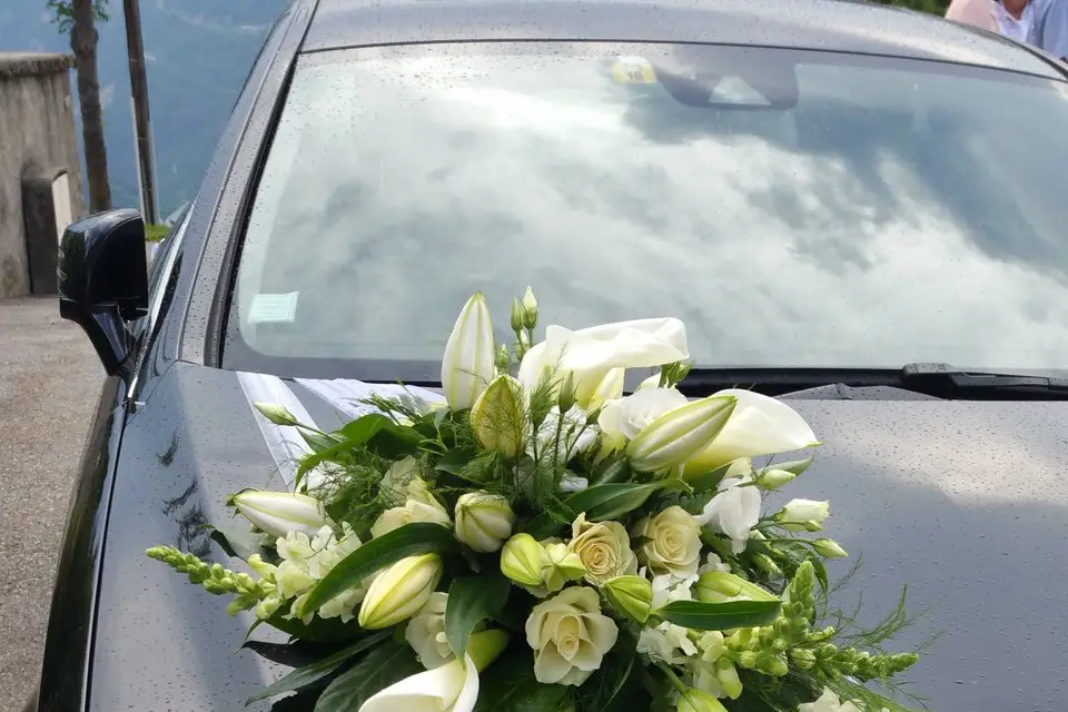 Taxi Courchevel — photo 3