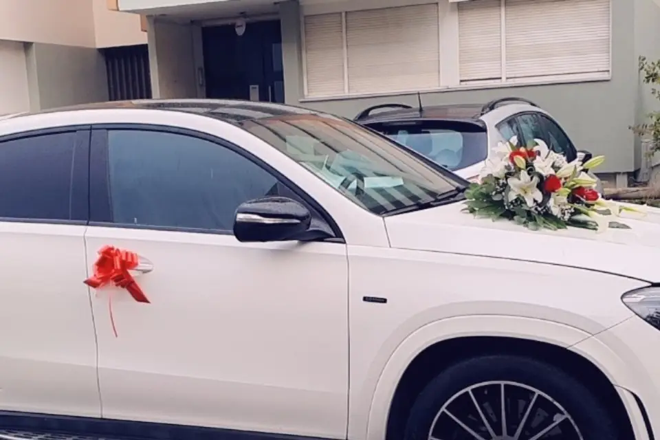 Luxury Drive — photo 4