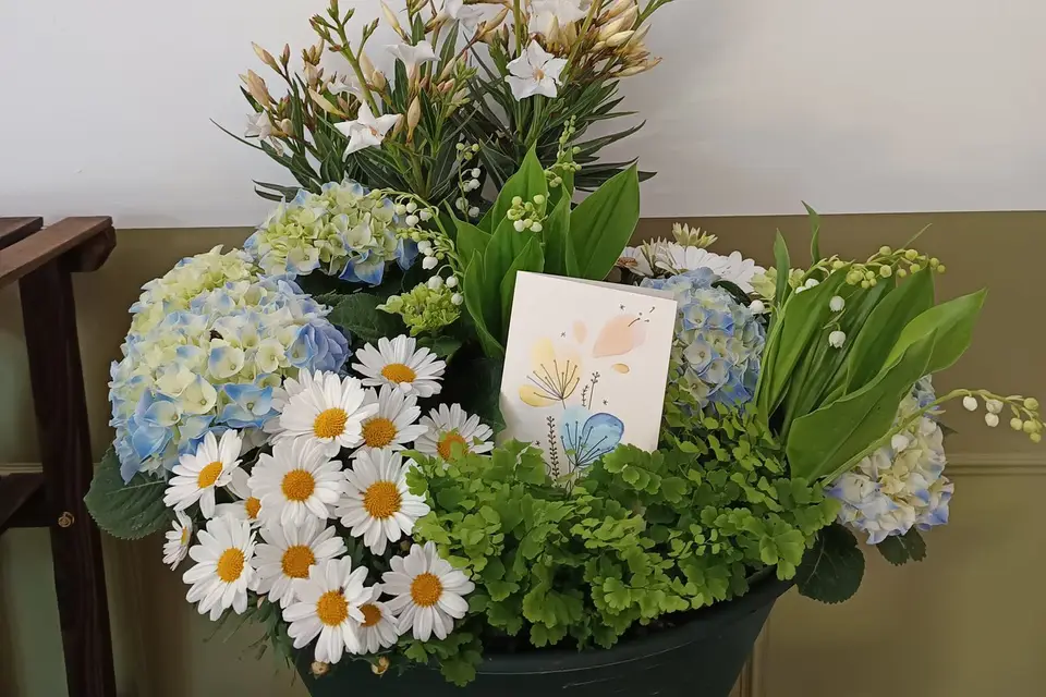 Emma et Lilly — photo 4