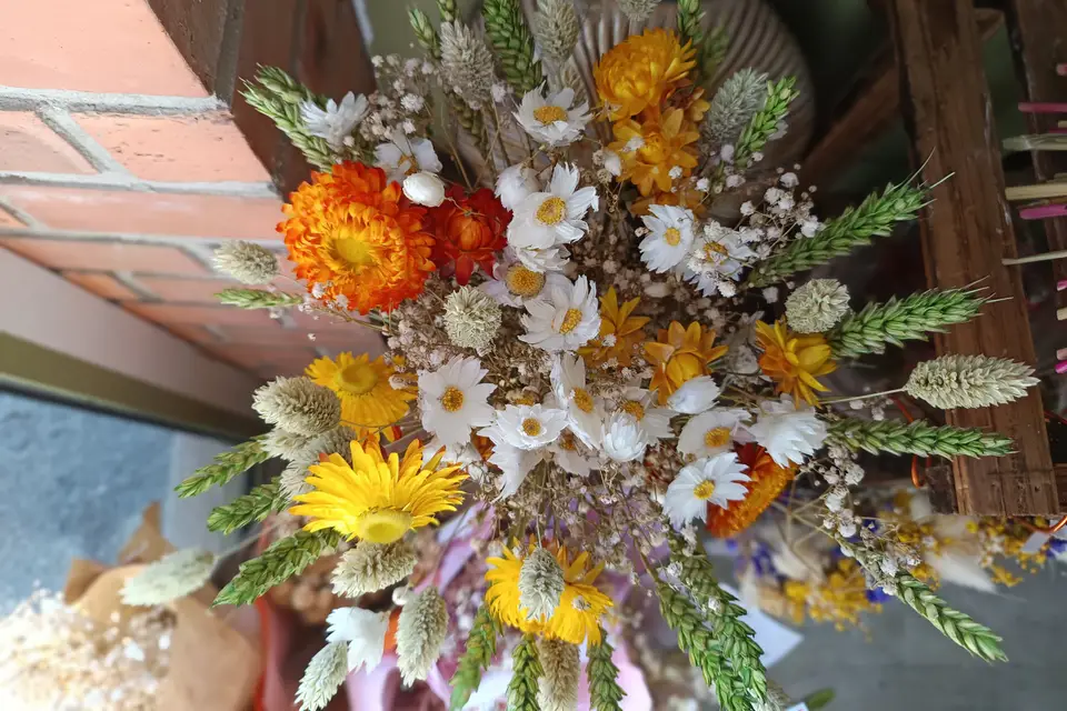 Emma et Lilly — photo 6