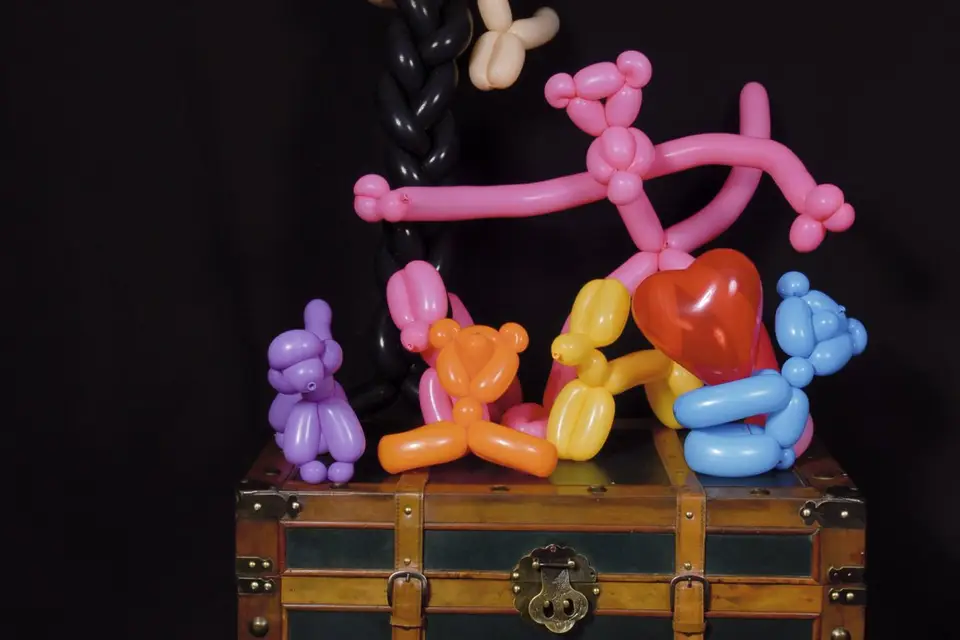 Eric John - Magicien — photo 8