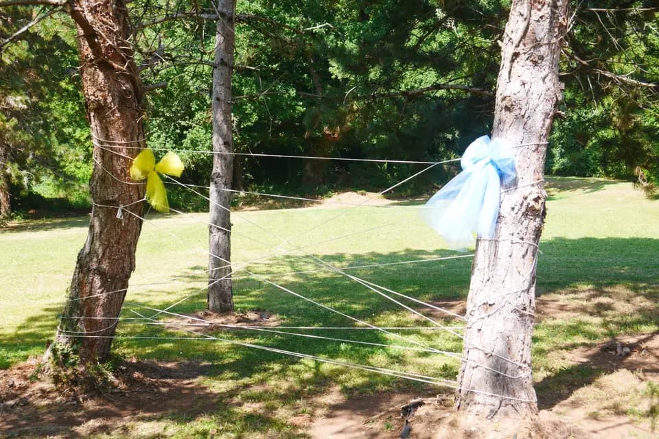 Les Animations Viv' — photo 8