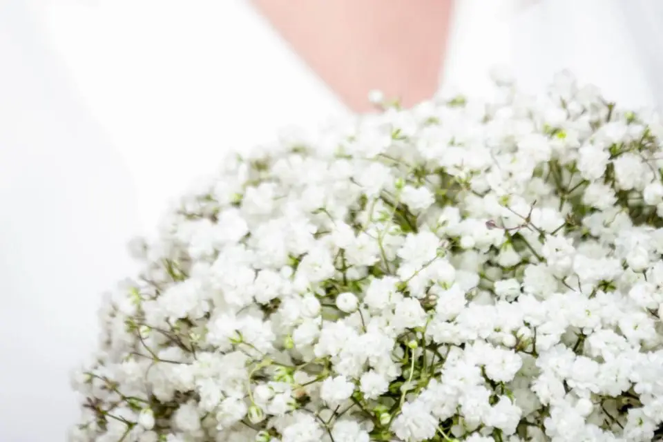 Oriental Wedding Photography — photo 2