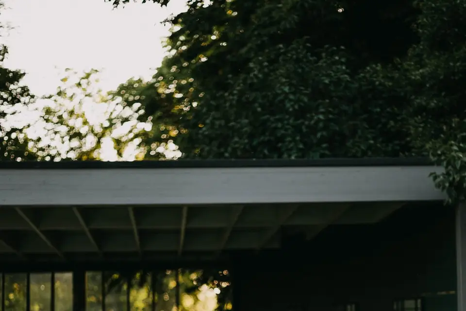 Eddy Lust — photo 1