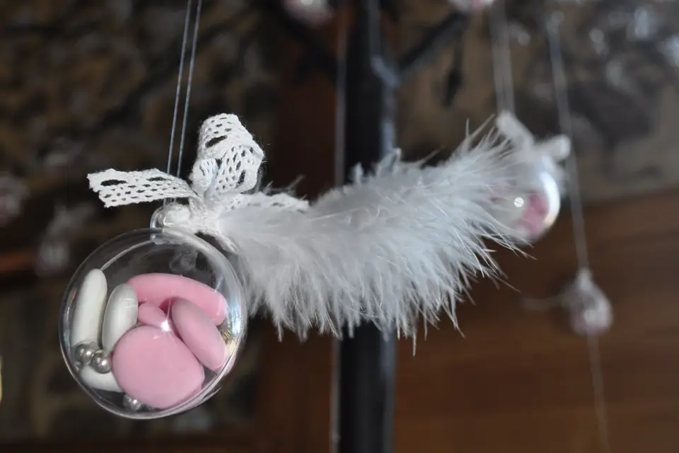 Rimae Event — photo 1