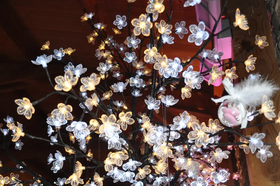 Rimae Event — photo 6