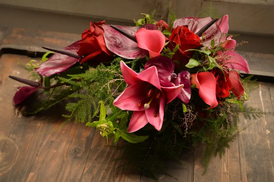 Mary.P Photographie — photo 3