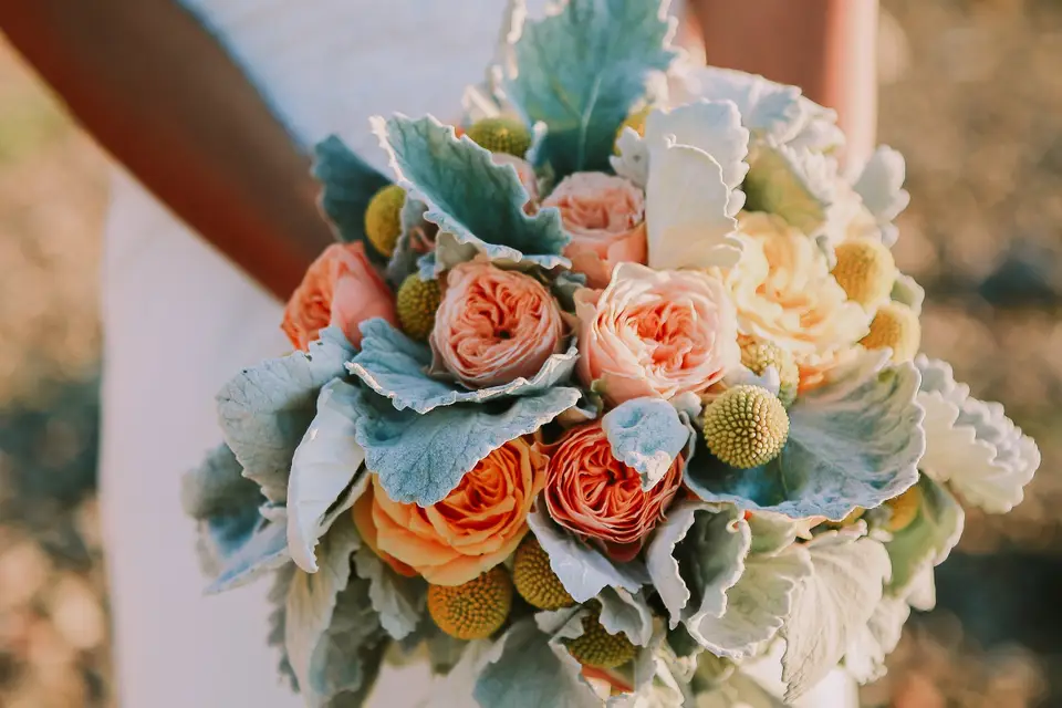 Comme dans un rêve — photo 1