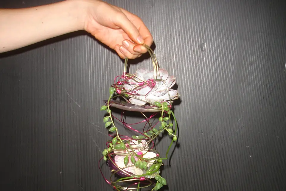 Des Lys d'Arômes — photo 6