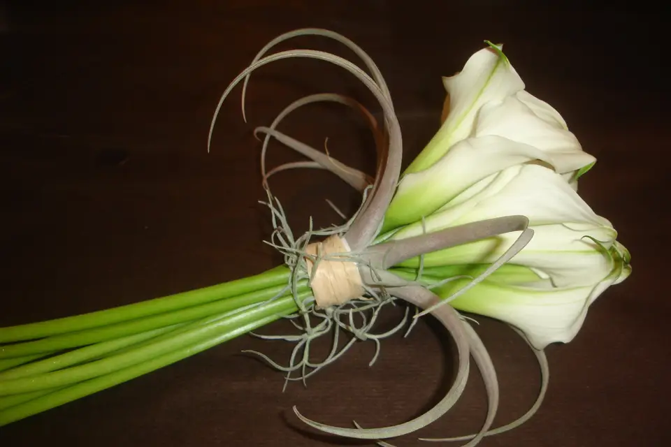 Des Lys d'Arômes — photo 1