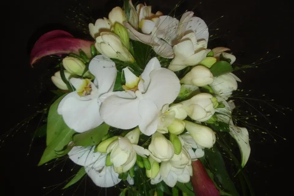 Des Lys d'Arômes — photo 2