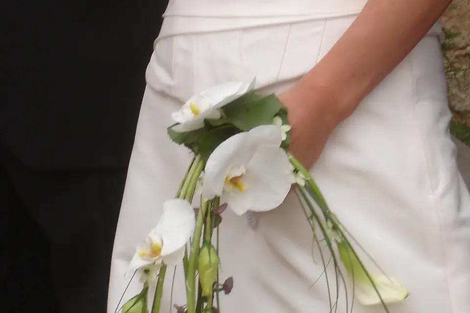 Des Lys d'Arômes — photo 5