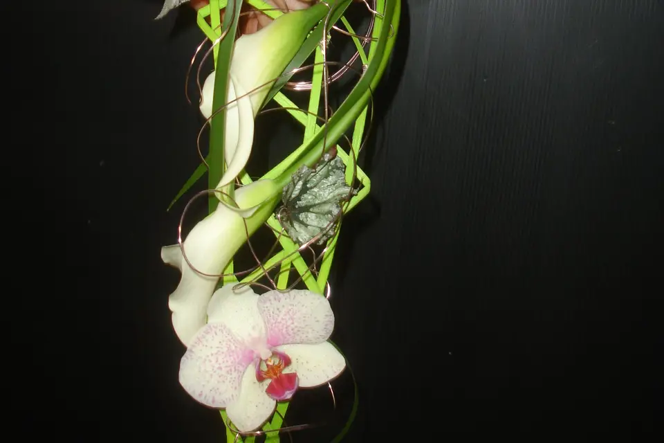 Des Lys d'Arômes — photo 4