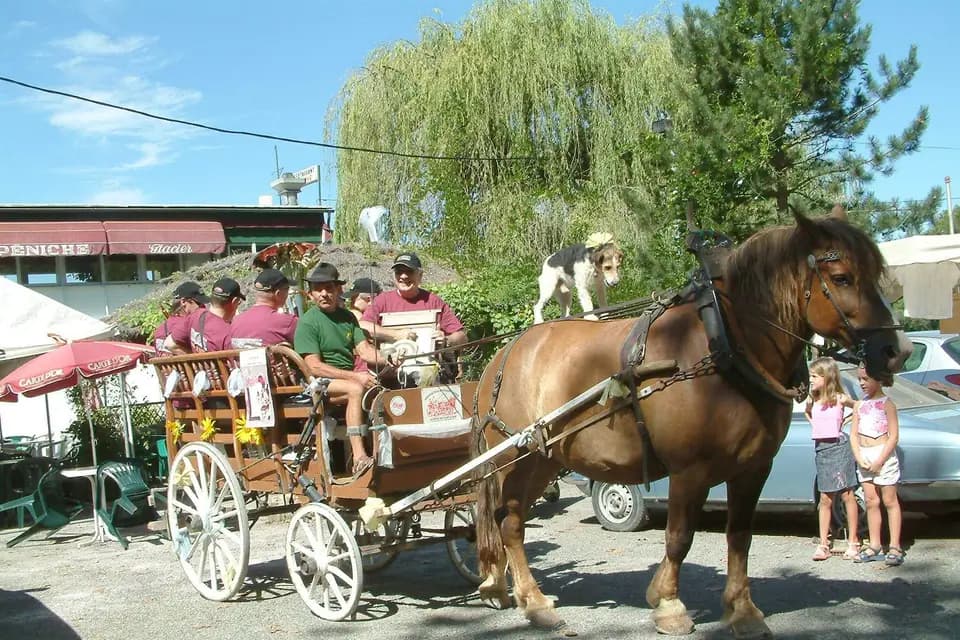 Jazzmagnac — photo 8