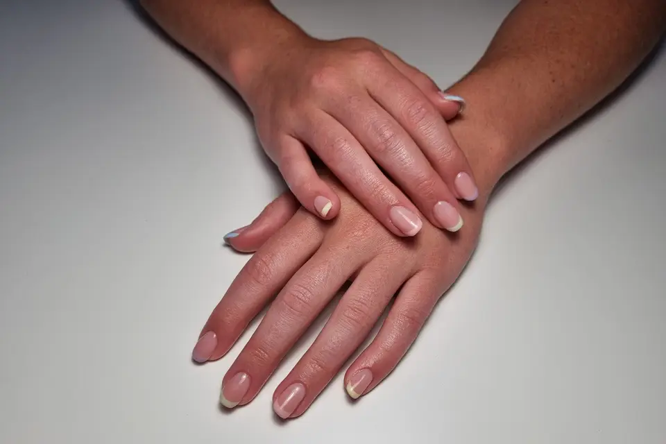 L'Atelier de Paulène