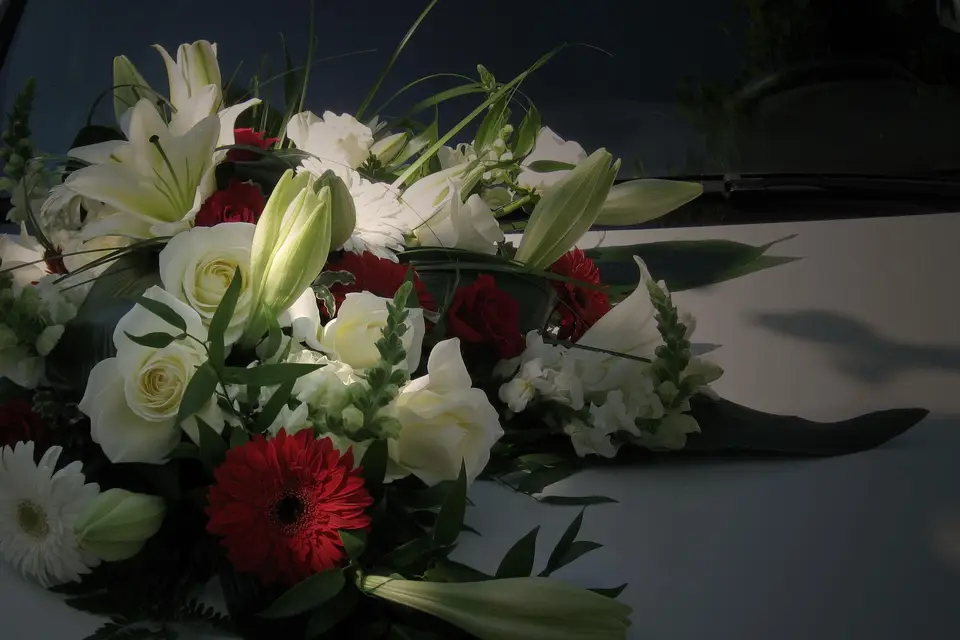 Un Brin de Lilas — photo 7