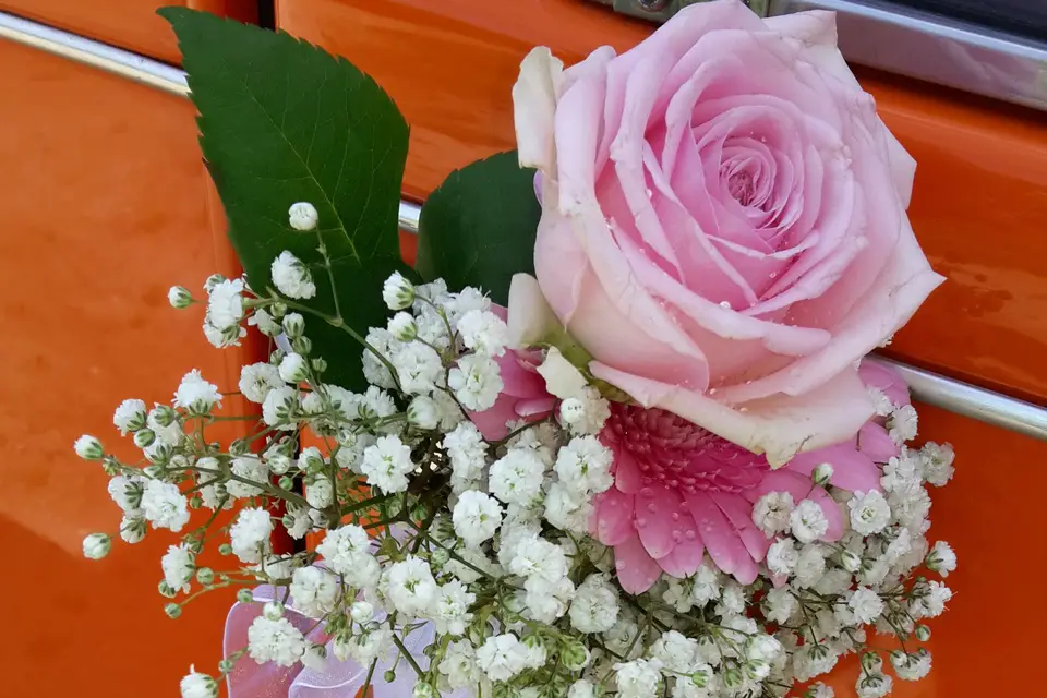 Vincent G. — photo 3