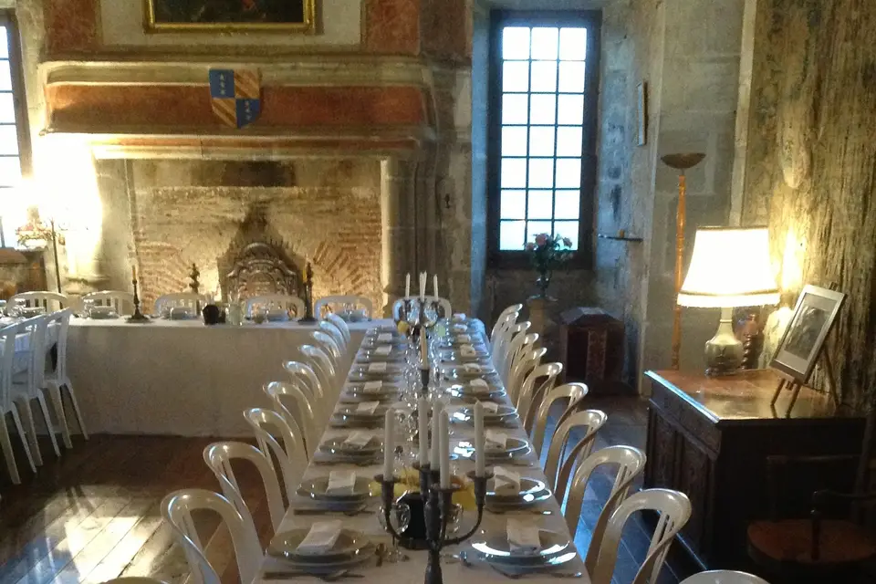 Château de Cenevières — photo 5