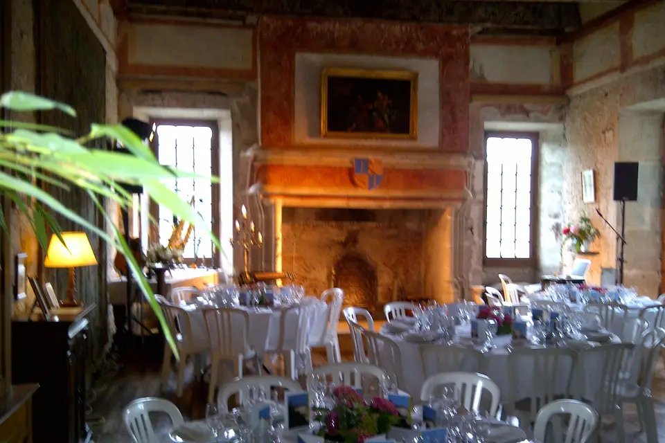 Château de Cenevières — photo 4