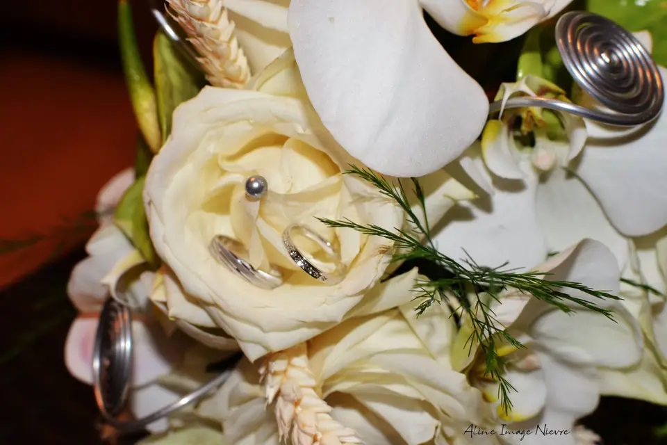 Aline Image — photo 7