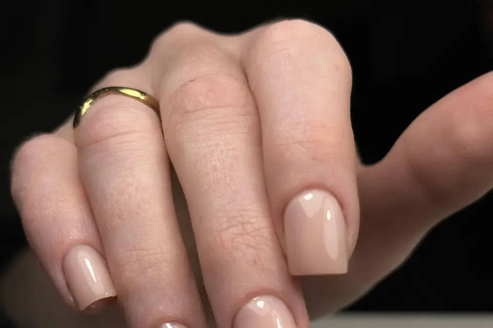 Alicia Institut — photo 5