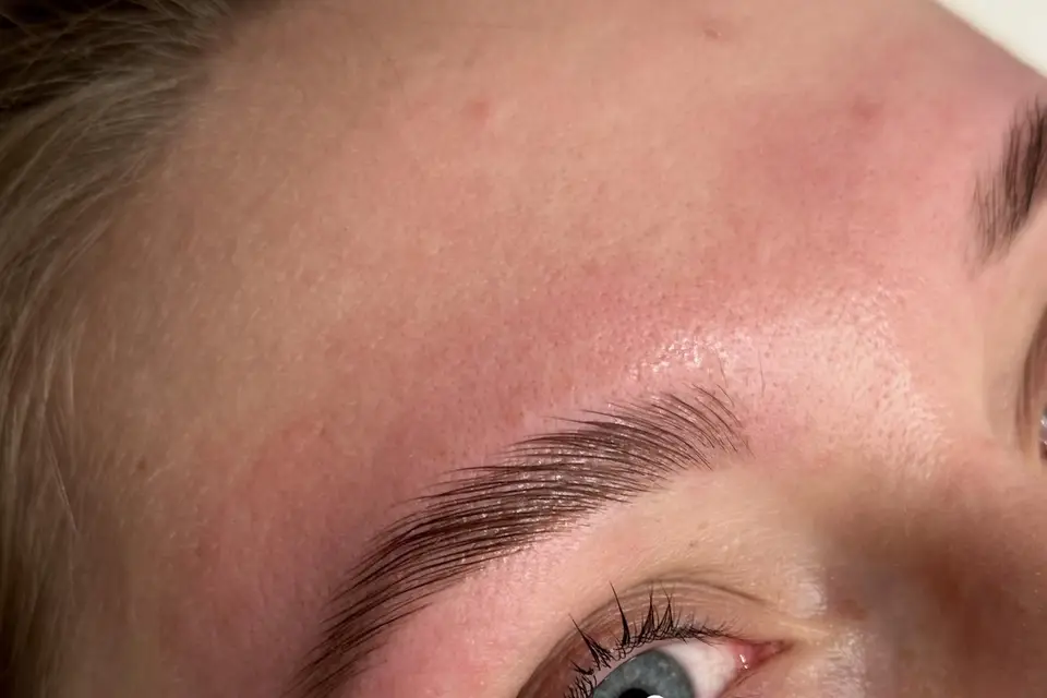 Alicia Institut — photo 2