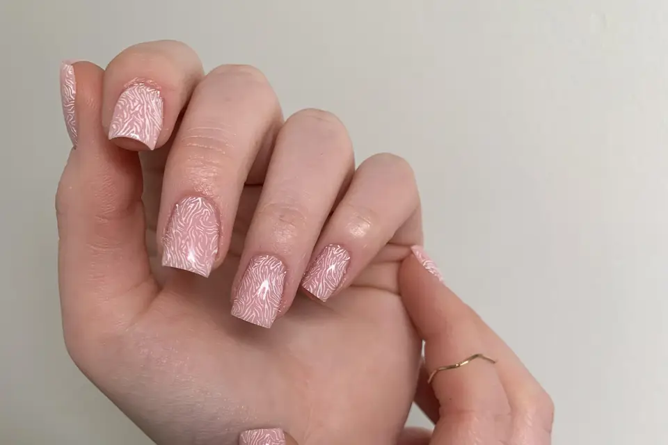 Alicia Institut — photo 7