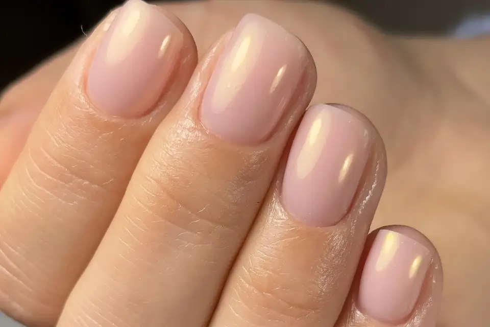 Alicia Institut — photo 1