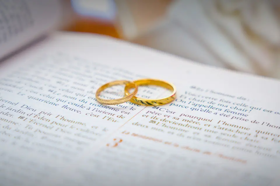 BDS Production — photo 6