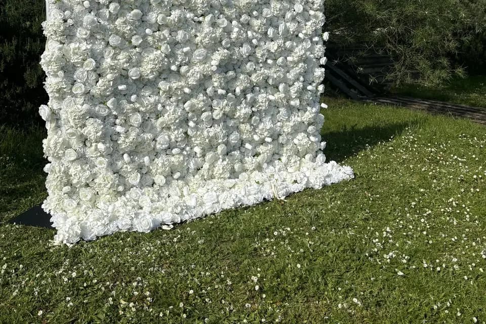 Adevents — photo 8