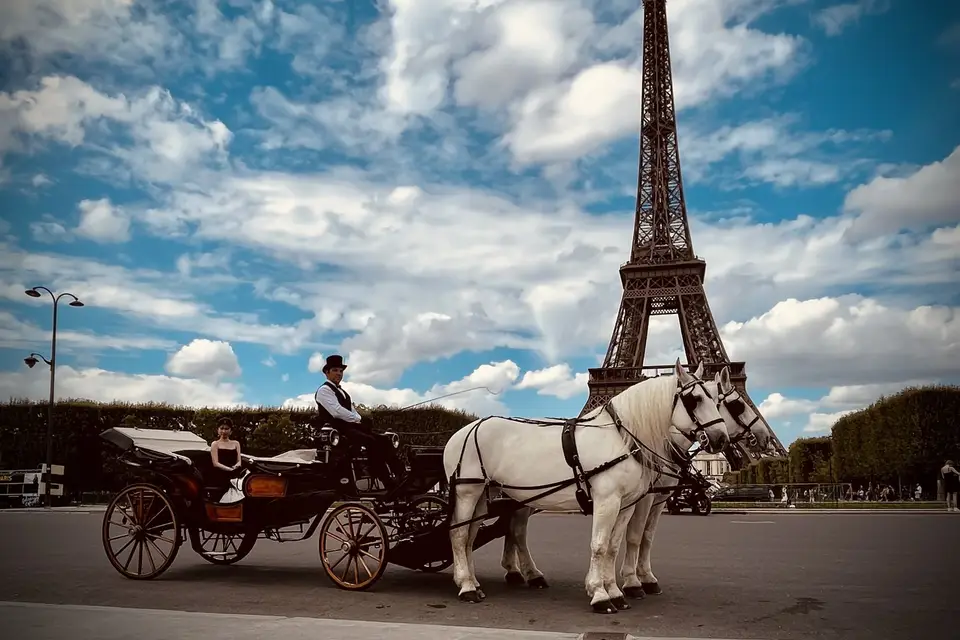 Les Calèches de Versailles — photo 2