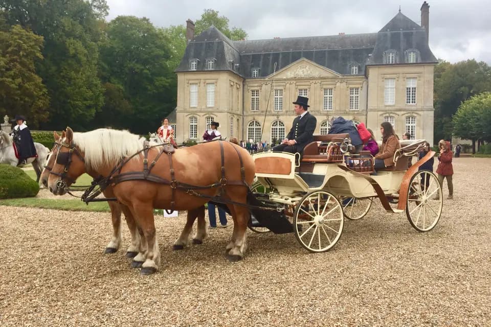 Les Calèches de Versailles — photo 3