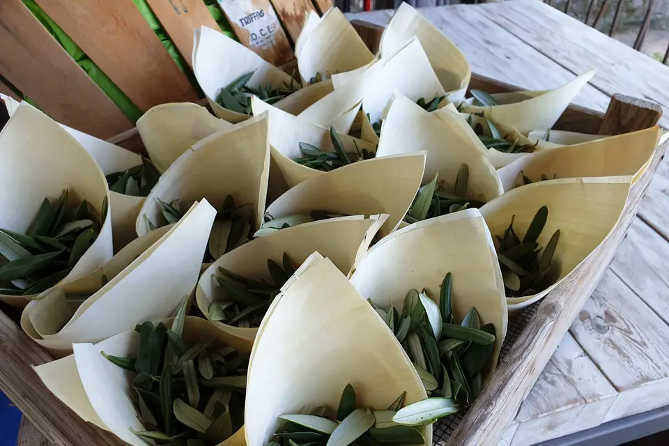 Ludovic Viano — photo 6