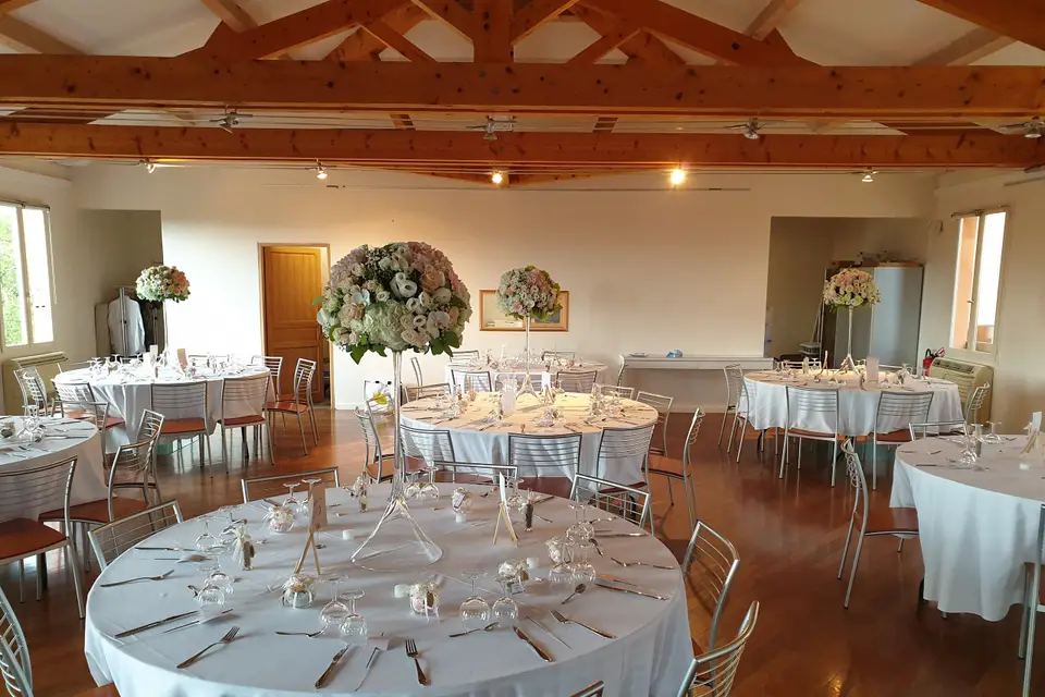 Ludovic Viano — photo 7