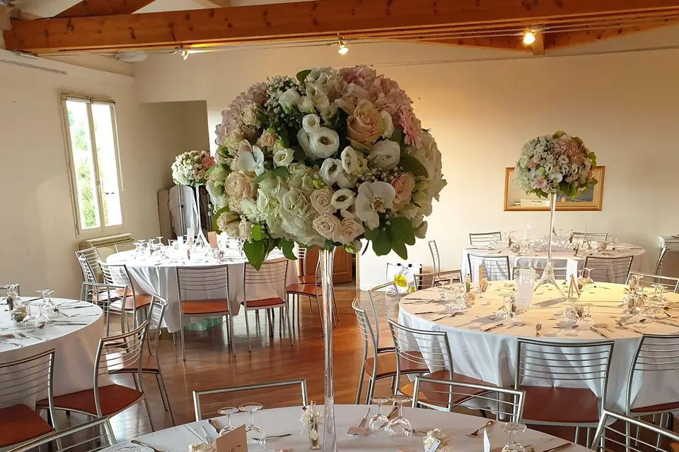 Ludovic Viano — photo 8