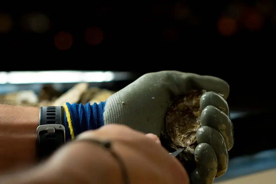 Lokal Fish & Trucks — photo 6