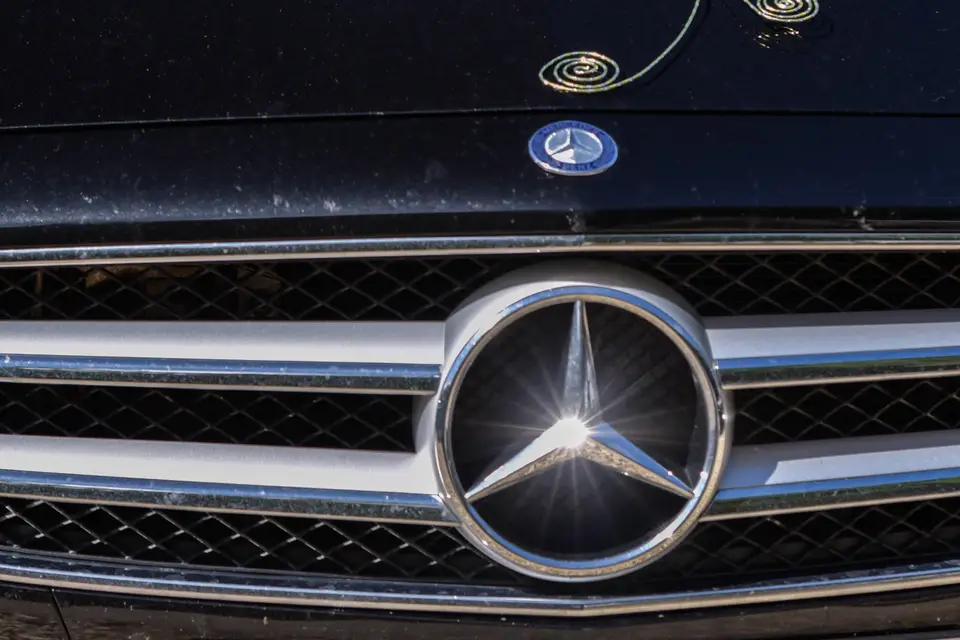 Le Chêne Vert — photo 6