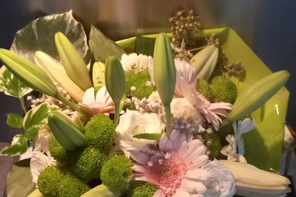 L'atelier de Yolande — photo 4