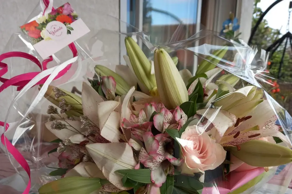 L'atelier de Yolande — photo 5